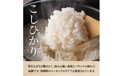 【訳あり】【令和6年産】永友農園産「こしひかり（2番米）」5kg 【 米 お米 白米 精米 国産 宮崎県産 コシヒカリ 】[D10613]