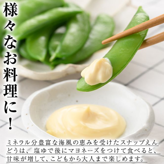 ＜先行予約受付中！2027年1月上旬以降順次発送予定＞ 期間限定！スナップえんどう (計1.5kg) 国産 鹿児島県産 ハウス栽培 野菜 豆 スナックエンドウ 【東新グリーンファーム合同会社】akn062-02