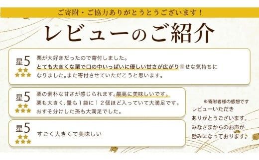 【 吉原農場 の 完熟栗 】 熟成 生むき栗 3袋・栗きんとん 1箱 セット 令和7年産 栗の深雫 完熟  むき栗 くり クリ 栗ごはん おかし お菓子 果物 フルーツ 数量限定 旬 秋 冬 正月 おせち [CX024ci]