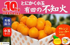 不知火 とにかく 小玉 箱込10kg (内容量約 9.2kg)  秀優品混合 和歌山県産 産地直送 【みかんの会】AX246