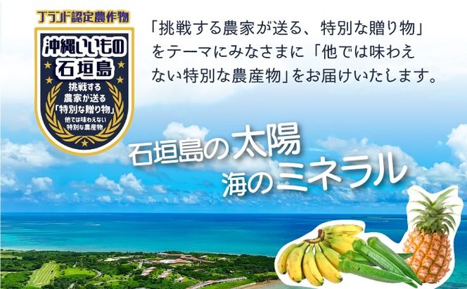 希少！こだわりの水を使い「森ような畑」で栽培する、仲原さんのバナナ【 沖縄県 石垣島 石垣島産 バナナ ばなな 農薬不使用 化学肥料不使用 】OI-16