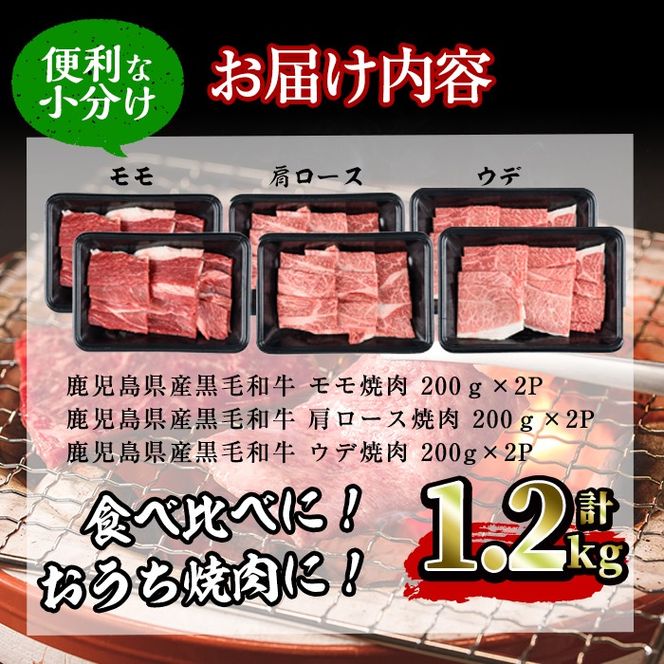 【焼肉3種！食べ比べセット】鹿児島県産黒毛和牛 モモ・肩ロース・ウデの焼肉3種セット＜計1.2kg＞ c0-109