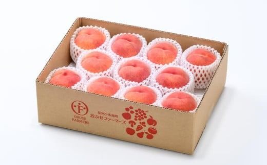 ワッサー 約3kg 7～12玉 ［おぶせファーマーズ］果物 フルーツ クール便 冷蔵便 長野県産 信州産 令和7年産【2025年8月上旬〜下旬発送】［F-39］