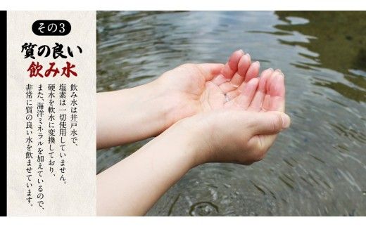 王様の卵 ヨード入 20個 (15個+割れ保障5個 ) 平飼い 地鶏 有精卵 濃厚 卵 こだわり卵 たまご [AU003us]