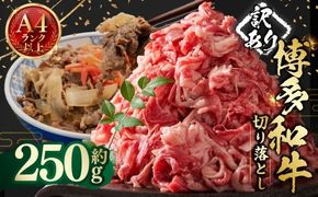 【 訳あり 】 博多和牛A4ランク以上 切り落とし 約250g お肉 肉 ニク にく 牛肉 牛 博多和牛 和牛 バラ バラ肉 赤身