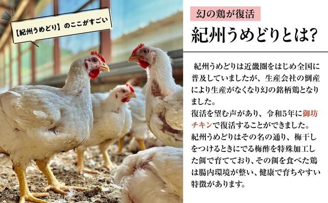 紀州うめどり むね肉 10枚 合計 約3600g セット 冷凍 鶏肉 鶏 地鶏 肉   EQ05