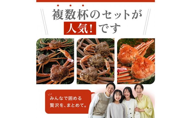 1057.【2027年1月～2027年3月発送】特撰 松葉がに（なま）【訳あり】500g超のサイズ 食べ応えあり 2杯 313726_BS035