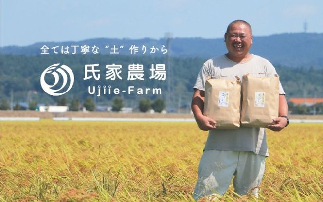 令和6年産 氏家農場の幻のお米 「ササシグレ」 10kg / 米 お米 精米 白米 ご飯 希少 産地直送 【aubless020】