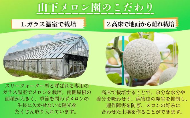 静岡温室メロン 1玉 【訳あり】最高級のマスクメロン 家庭用 山下メロン園　高級果実店に仕入るほどの自信のあるメロン  ギフト  メロン めろん 箱詰め フルーツ 果物  産地直送 甘いメロン 糖度 青肉 222232_AY005