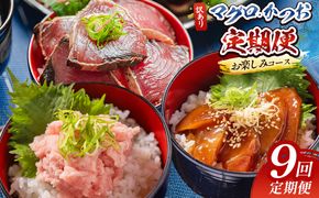海鮮 定期便 9回 マグロ かつおお楽しみ定期便 - 訳あり マグロ 鮪 カツオ 鰹 漬けマグロ たたき ネギトロ 配送回数 定期便 小分け 海鮮 魚介 冷凍食品 加工品 海鮮丼 刺身 株式会社大熊 高知県 香南市 冷凍 Wda-0053