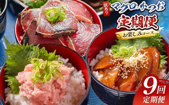 海鮮 定期便 9回 マグロ かつおお楽しみ定期便 - 訳あり マグロ 鮪 カツオ 鰹 漬けマグロ たたき ネギトロ 配送回数 定期便 小分け 海鮮 魚介 冷凍食品 加工品 海鮮丼 刺身 株式会社大熊 高知県 香南市 冷凍 Wda-0053