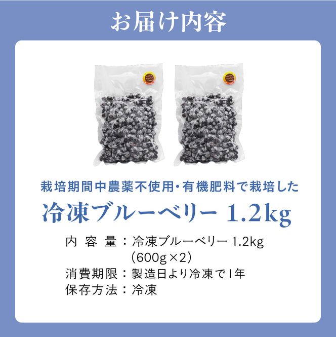 【2026年7月より順次発送】栽培期間中農薬不使用！急速冷凍ブルーベリー 1.2kg 【JAほたるの里】_HA1517