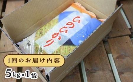 【全3回定期便】糸島産 ひのひかり 5kg × 3回 糸島市 / 三島商店 [AIM008] 米 白米