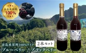 糸島産 ブルーベリー ＆ ブラックベリー ワイン 720ml×2種 セット 糸島市 / HYM FARM [AHM001] ワイン ギフト ブルーベリー お酒 贈り物 記念日 贈答
