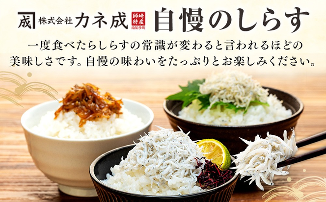 訳あり 釜揚げ しらす 2kg (200g×10袋) 小分け 減塩 無添加 無着色 冷凍 愛知県 南知多町 ご飯 ごはん 丼 料理 国産 カネ成 シラス 人気 おすすめ シラス しらす しらすごはん shirasu sirasu SIRASU 人気シラス