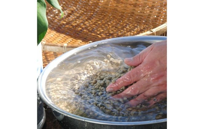 フェアトレードコーヒー　ミャンマー＆東ティモール(豆) /(粉)コーヒー 珈琲 ブレンド豆 コーヒー豆 フェアトレードコーヒー スペシャルティコーヒー 山梨 富士吉田