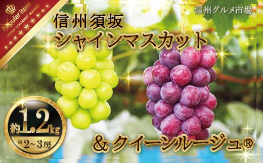 人気葡萄2種セット！シャインマスカット＆クイーンルージュ®約1.2kg（約2～3房）《信州グルメ市場》■2025年発送■※9月上旬頃～10月中旬頃まで順次発送予定