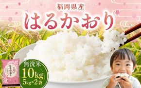【 令和7年産 】 【 無洗米 】 はるかおり 10kg （ 5kg × 2袋 ） お米 米 こめ コメ 白米 白飯 飯 ご飯 おにぎり 和食 国産 福岡県産