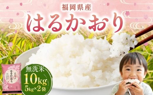 【 令和7年産 】 【 無洗米 】 はるかおり 10kg （ 5kg × 2袋 ） お米 米 こめ コメ 白米 白飯 飯 ご飯 おにぎり 和食 国産 福岡県産