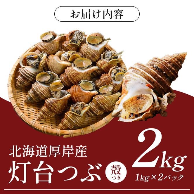 先行受付 北海道 厚岸産 殻灯台 つぶ 2kg（1kg×2パック） 魚介類 海の幸 海産物 海鮮 貝 つぶ貝 希少 下処理不要 刺身 塩茹で お酒のあて つまみ 国産 北海道産 
