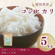 愛知県産 コシヒカリ 5kg｜米 お米 コメ こめ おにぎり 弁当 愛知県 美浜町 新米 ※北海道・沖縄・離島への配送不可