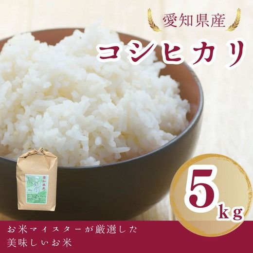 愛知県産 コシヒカリ 5kg｜米 お米 コメ こめ おにぎり 弁当 愛知県 美浜町 新米 ※北海道・沖縄・離島への配送不可