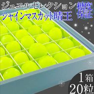 2026年 先行予約受付中 シャインマスカット晴王 ジュエルセレクション 1箱20粒 岡山県産 種無し 皮ごと食べる みずみずしい 甘い 瀬戸内 ハレノフルーツ [№5735-2168]