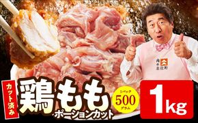 mrz0394 【特別規格】国産 鶏もも肉 ポーションカット 1kg 【カット済み 氷温熟成×極味付け 小分け 味付き 簡単調理 訳あり サイズ不揃い 鶏肉 とり】