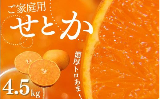 [先行予約]みかん せとか ご家庭用 たにぐち農園の せとか 4.5kg 大小混合[2027年3月から4月上旬までに順次発送予定] / 家庭用 ご家庭用 せとか みかん 蜜柑 サイズ 不揃い[mtn012C]