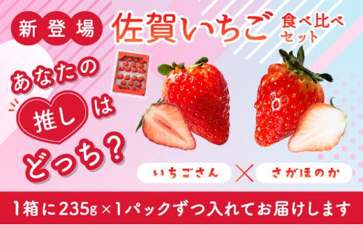 【先行予約】数量限定 いちごさん さがほのか ★贈り物にも最適★《2026年1月頃より出荷予定》 いちご イチゴ フルーツ 佐賀県 上峰町