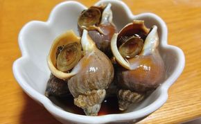 北海道産 ボイル 冷凍 磯つぶ 1kg×1パック つぶ 煮つぶ ツブ 貝