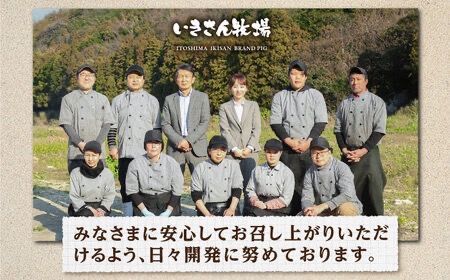 【全6回定期便】一貴山豚 とんバーグ 12個（ 6個 × 2種 ） 糸島市 / いきさん牧場 [AGB014]