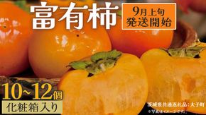 【化粧箱入り】富有柿10～12個【2025年9月上旬発送開始】(茨城県共通返礼品：大子町) 柿 かき カキ 果物 フルーツ 旬 季節限定 期間限定 贈答用 ギフト 贈り物