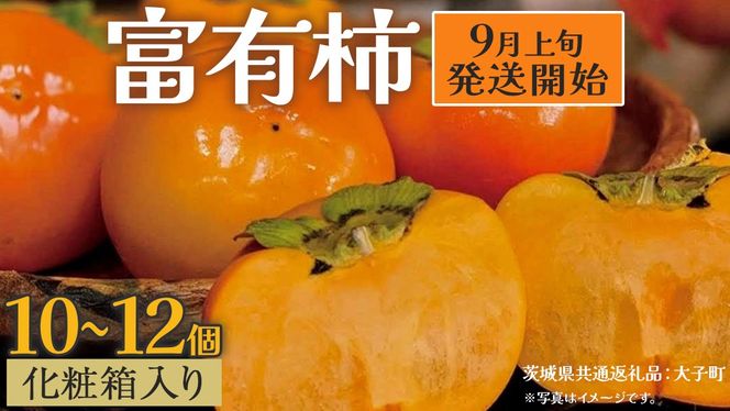 y錧vszyϔzxL`10`12y2025N9{Jnz(錧ʕԗiFq) `  JL ʕ t[c { Gߌ Ԍ p Mtg 蕨