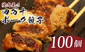 餃子 四万十ポークの手作り餃子 惣菜 ぎょうざ 100個 yj069