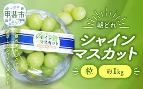 【来年（2026年/令和8年）発送＜先行予約＞】ご家庭用 訳あり シャインマスカット 粒 1㎏ 減農薬 先行予約 先行 予約 山梨県産 国産 産地直送 人気 おすすめ 贈答 ギフト お取り寄せ フルーツ 果物 くだもの ぶどう ブドウ 葡萄 シャイン シャインマスカット わけあり ワケアリ 新鮮 甘い 皮ごと 山梨 甲斐市 AV-29