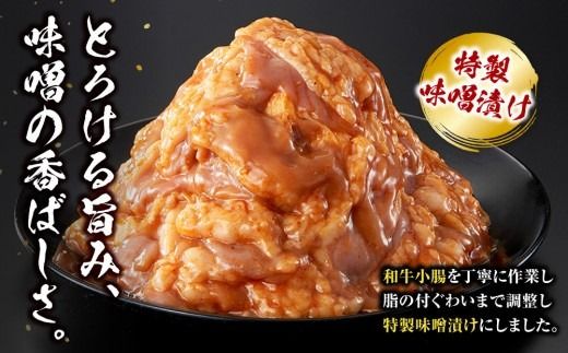 トロホルモン 味噌漬け 900g ( 300g × 3 ) プリプリ 小分け 使いやすい 味付き 調理便利 野菜炒め ホルモン炒め 訳あり 不揃い 和牛 小腸 冷凍 配送時期が選べる 個包装 冷凍保存 アウトドア キャンプ おすすめ 人気