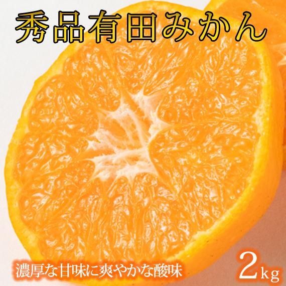 紀州有田産濃厚甘熟温州みかん約2kg (2S ～ Lサイズのいずれか)［2026年11月下旬以降発送］［先行予約］ AN053