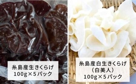 結樹農園アグリス きくらげ満足セット ≪糸島市≫【結樹農園アグリス】きくらげ/国産/明太/明太子 [AAJ004] きくらげ 国産 明太 明太子 ご飯のお供 ごはんのおとも 辛子明太子 きのこ