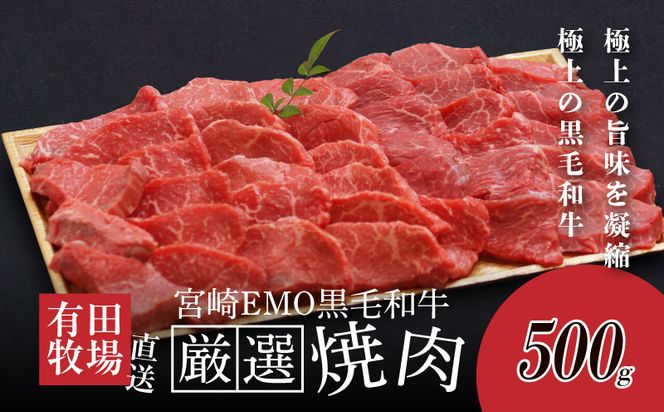木城白木八重牧場育ちの黒毛和牛厳選焼肉500g_K20_0012_5