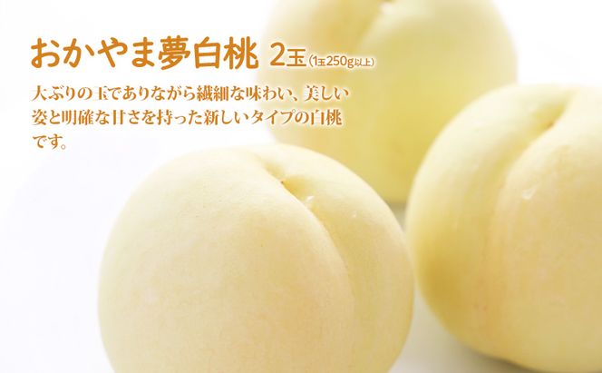 桃 ぶどう 詰合せ 2026年 先行予約 おかやま 夢 白桃 2玉（1玉250g以上） シャイン マスカット 1房 約700g 岡山県 赤磐市産 フルーツ 果物 あかいわファーマーズガーデン