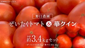 野口農園 ！ ぜいたくトマト（2kg）と華クイン（1.4kg） トマト ミニトマト プチぷよ フルティカ アイコ 華クイン 新鮮 美味しい 野菜 [J005-NT]