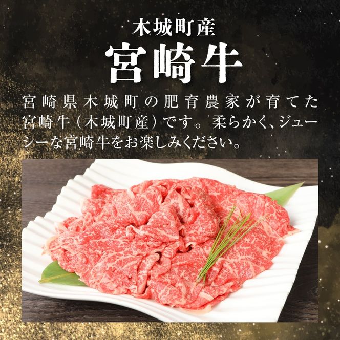 ＜宮崎牛和牛モモ肉しゃぶしゃぶ用500g＞ K01_0002_1