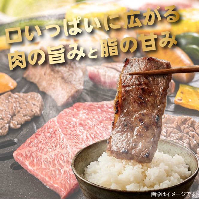 【ふるさと納税】【訳あり】黒毛和牛肩ロース不揃い切り落とし焼肉 計1kg（牛肉 肉 黒毛和牛 不揃い 訳あり 焼肉用 赤身 ロース 宮崎県）