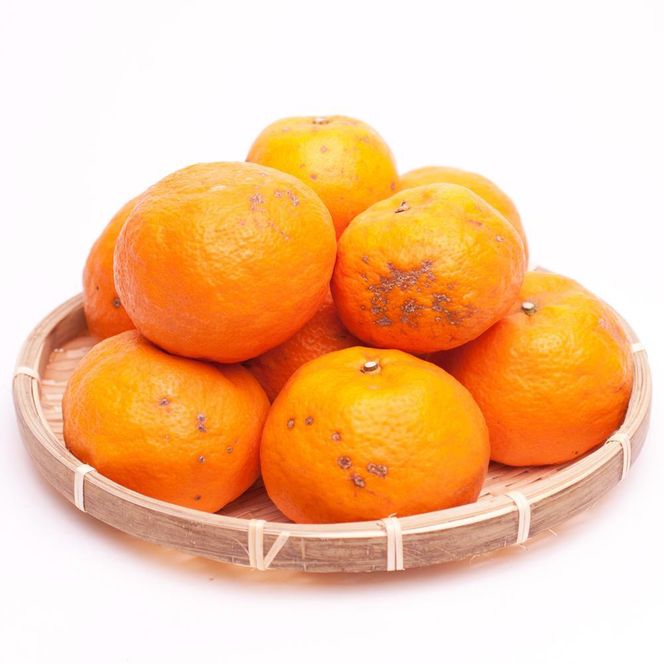 ［先行予約］家庭用 カラマンダリン2.5kg+250g（傷み補償分）［南津海・なつみ］［希少な春柑橘］［わけあり・訳あり］［みかんと同じように食べられます］［IKE68］ 303446_BB97315