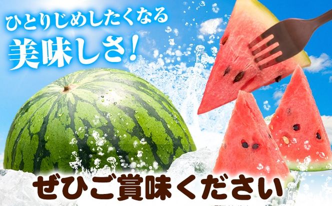 紀州和歌山産 小玉スイカ 「ひとりじめ」 1玉 魚鶴商店《2027年6月上旬-6月下旬頃出荷》 和歌山県 日高川町 スイカ スイーツ フルーツ---wshg_uot234_6j6g_26_10000_1t---