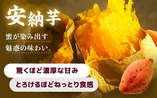 選べる品種/ 焼き芋 安納芋 4kg (8〜16本) さつまいも 焼きいも おやつ 愛西市 / 就労継続B型事業所ヤシの木[AEDG006]