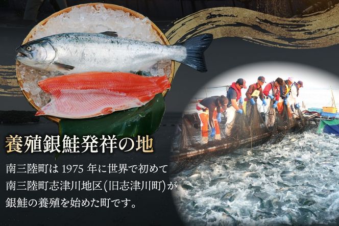 3回 定期便 訳あり 三陸産 銀鮭 切身 約2.2kg 総計6.6kg [阿部長商店 宮城県 南三陸町 m304amh530010] 魚介類 魚 鮭 海鮮 さけ サケ 鮭切身 シャケ 切り身 訳アリ おかず 弁当 サーモン 銀鮭切り身 国産 無塩 規格外 無塩鮭 不揃い 冷凍 家庭用 わけあり