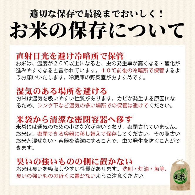【数量限定】令和7年産コシヒカリ　10kg　磐梯山麓こしひかり　精米　発送時期3月下旬から