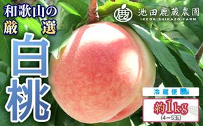 白桃 約1kg（4～5玉）和歌山県産 厳選 化粧箱入り ｜ 白鳳・清水白桃・川中島・もも・はくとう【化粧箱入り】